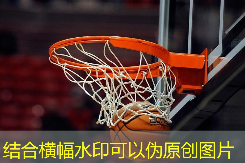 篮球初期训练器材有哪些