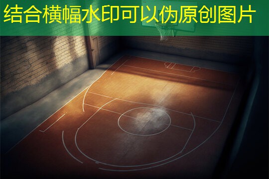 女生练背的健身器材