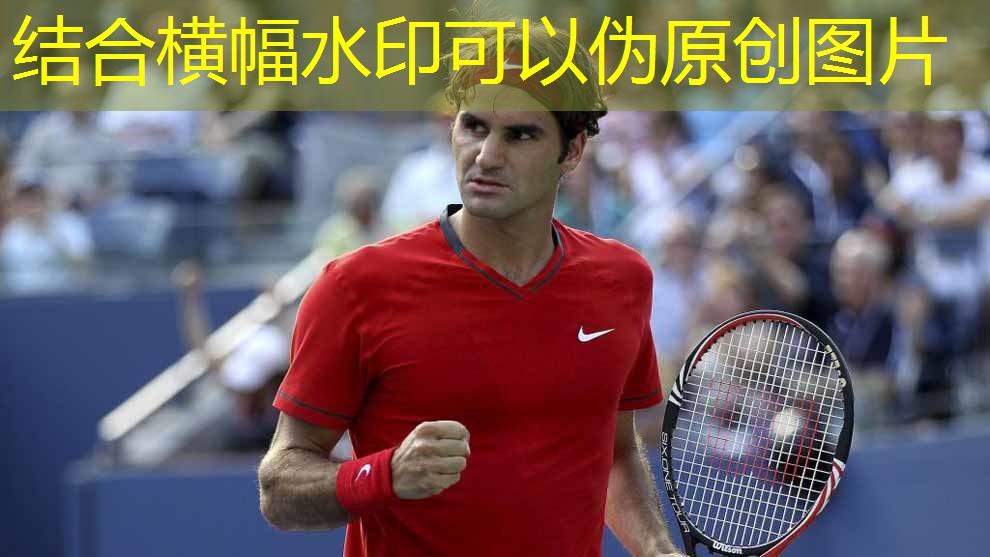 无器材胸大肌训练方式