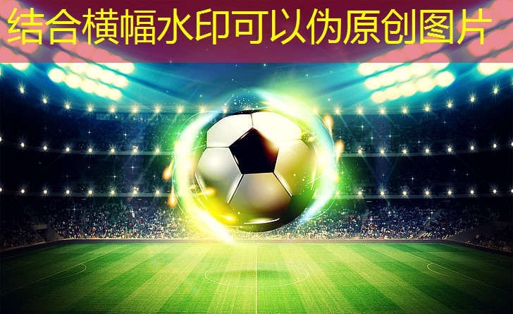 追求极致体验！给你的斜杆篮球架安装五星级待遇