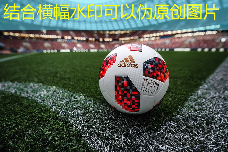 减肥踏步机器材室内健身